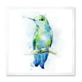 thumbnail image 1 of Designart 'Colibri Bird On Branch' Traditional Framed Art Print, 1 of 4