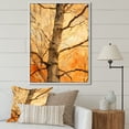 thumbnail image 1 of Designart "Collage Of Peach-Hued Sycamores I" Tree Sycamore Floater Framed Canvas Prints, 1 of 5