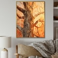 thumbnail image 1 of Designart "Collage Of Peach-Hued Sycamores" Tree Sycamore Floater Framed Canvas Wall Art, 1 of 5