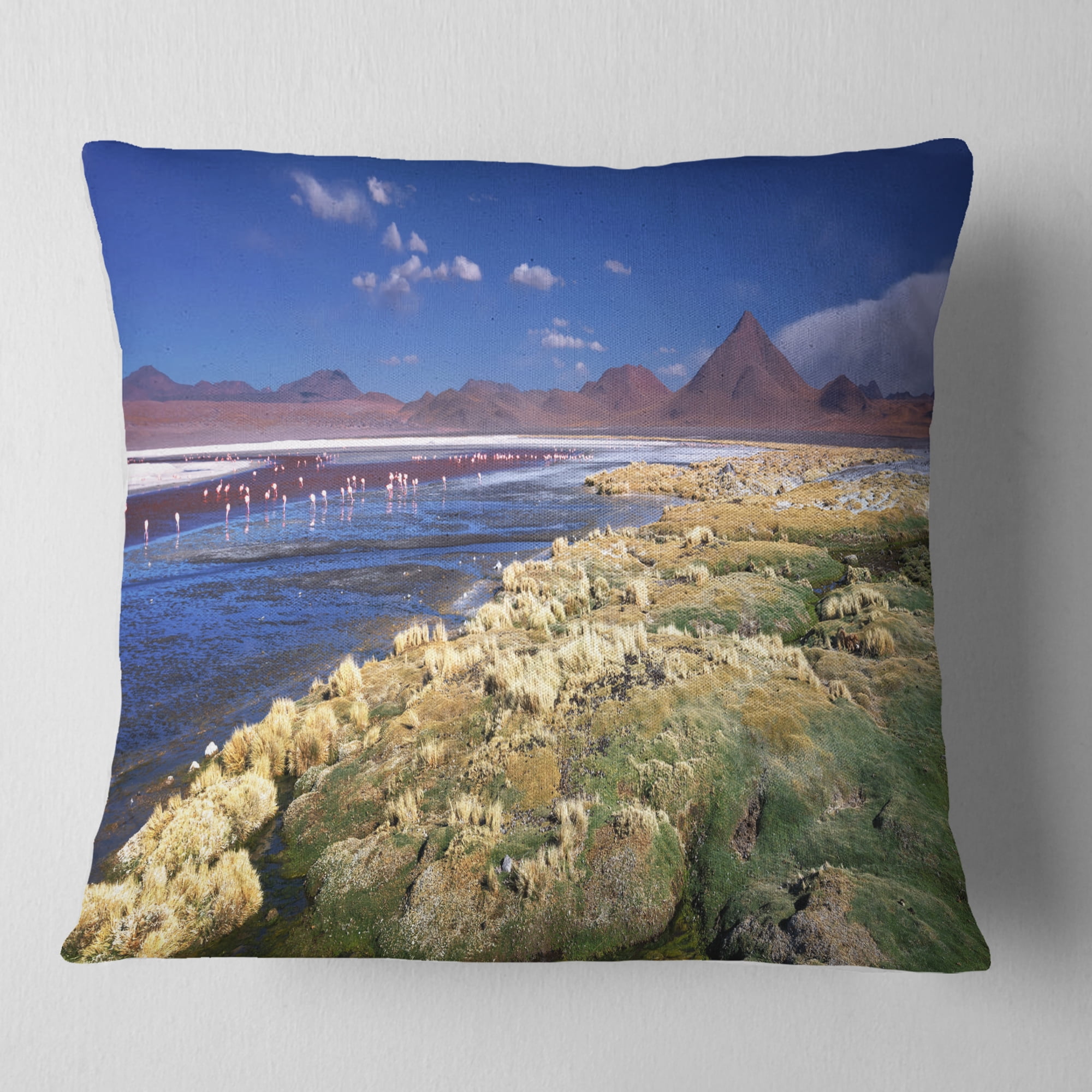 Designart Colorada Lagoon and Pabellon Volcano - Oversized Beach Throw Pillow - 18x18