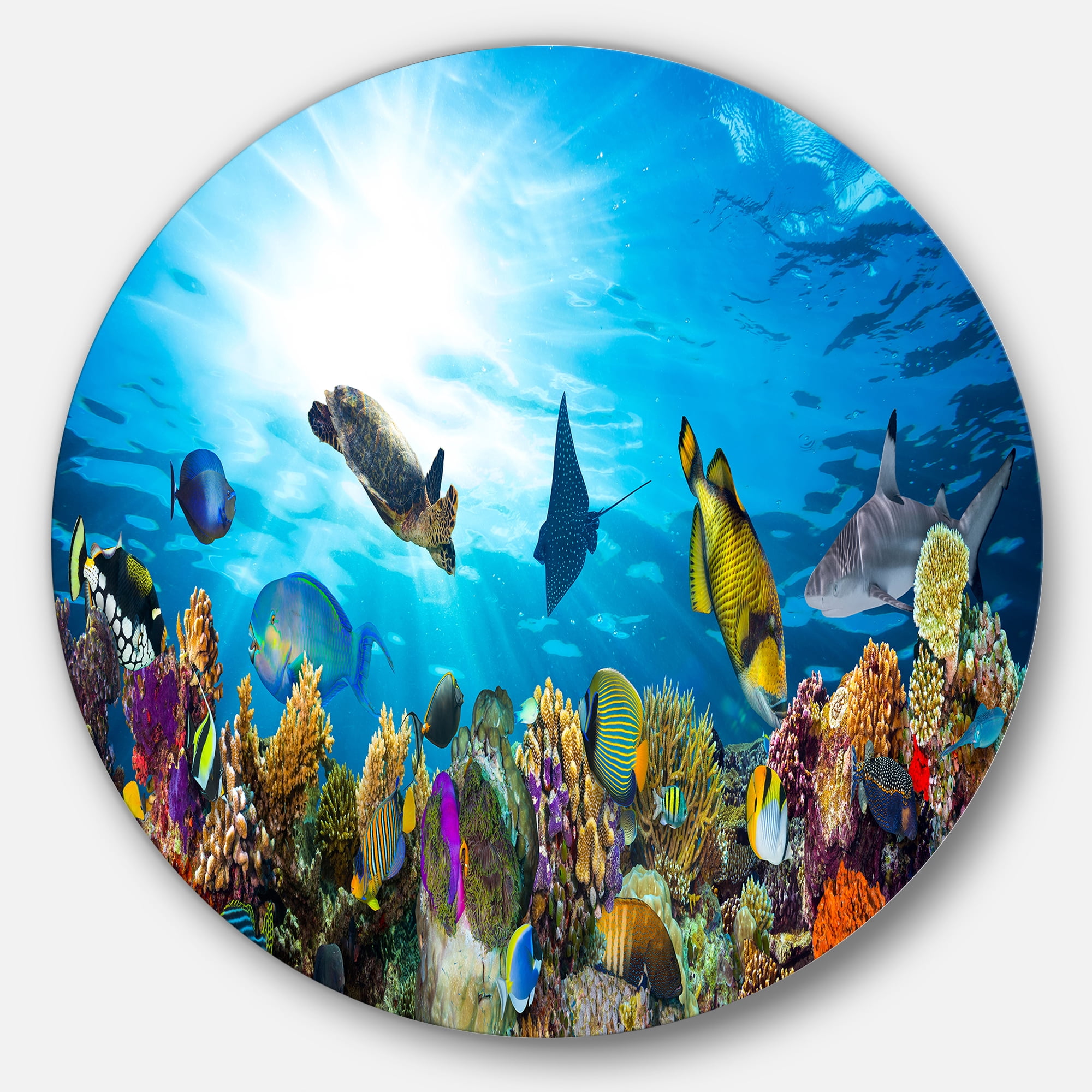 Designart 'Colorful Coral Reef with Fishes' Disc Seascape Circle Metal Wall Art