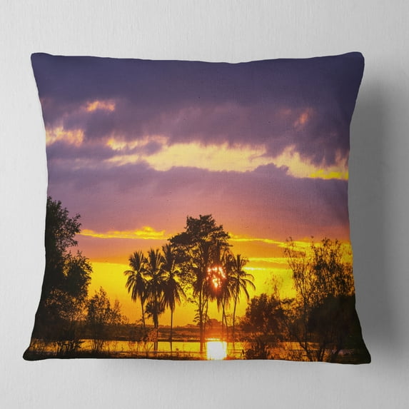 Designart Colorful Flooded Field At Sunset - Landscape Wall Throw Pillow - 16x16