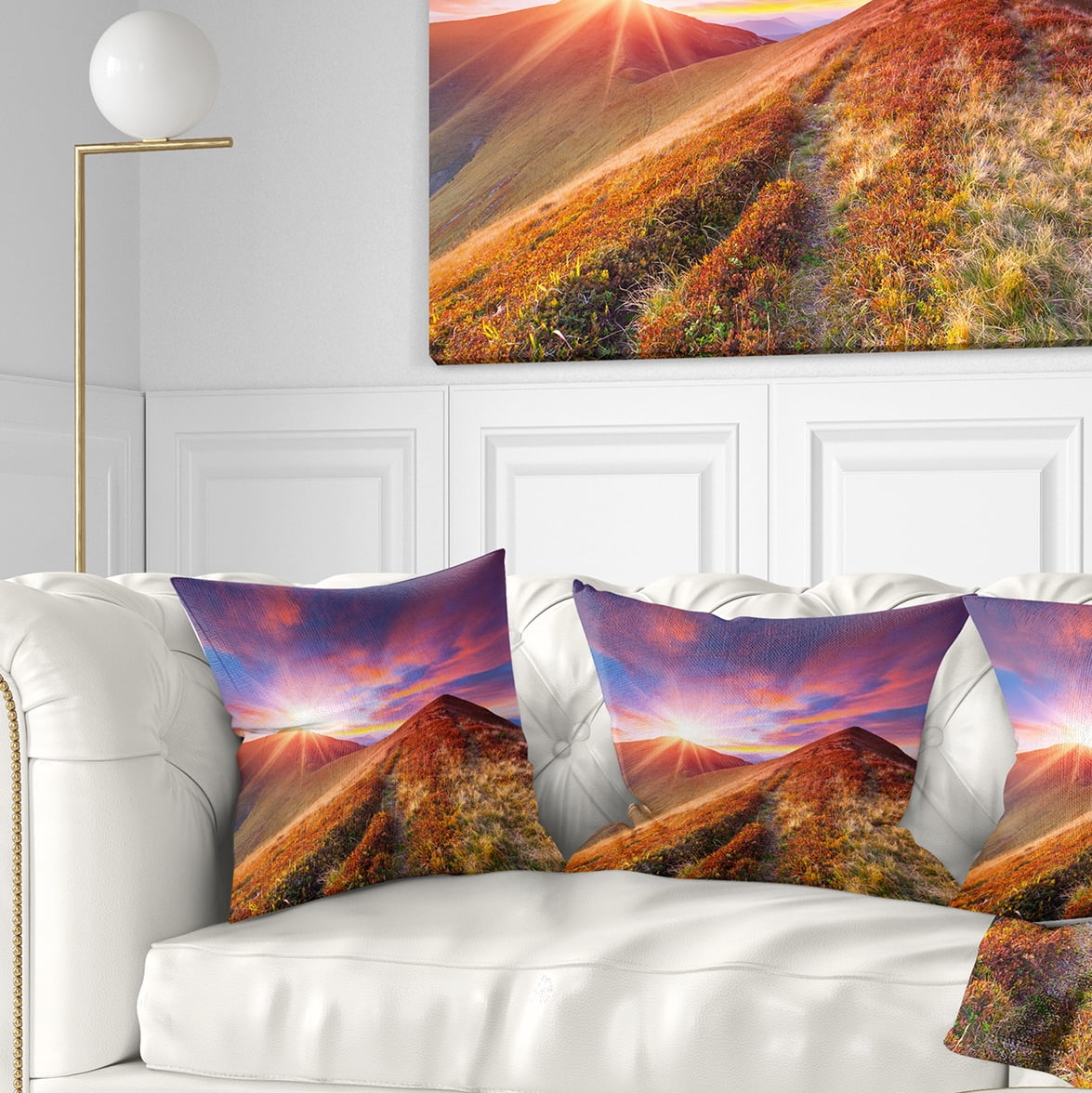 Designart Colorful Grass and Clouds - Landscape Photography Throw Pillow - 16x16