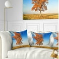 thumbnail image 1 of Designart Colorful Lonely Fall Tree - Landscape Photo Throw Pillow - 16x16, 1 of 5