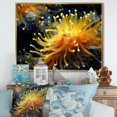 thumbnail image 1 of Designart "Colorful Underwater Coral Flora II" Coastal Coral Under Water Floater Framed Canvas Art Print, 1 of 5