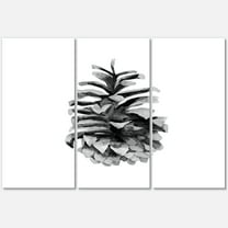 Designart ' Conifer Cone Black and White ' Traditional Canvas Wall Art Print