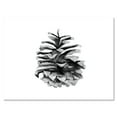 thumbnail image 1 of Designart ' Conifer Cone Black and White ' Traditional Canvas Wall Art Print, 1 of 4