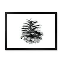 Designart 'Conifer Cone Black and White' Traditional Framed Art Print