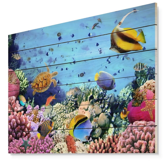 Designart 'Coral Colony on Reef Egypt' Animal Print on Natural Pine Wood