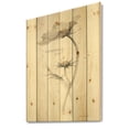 thumbnail image 1 of Designart 'Cosmos Flower On White' Traditional Print on Natural Pine Wood, 1 of 3