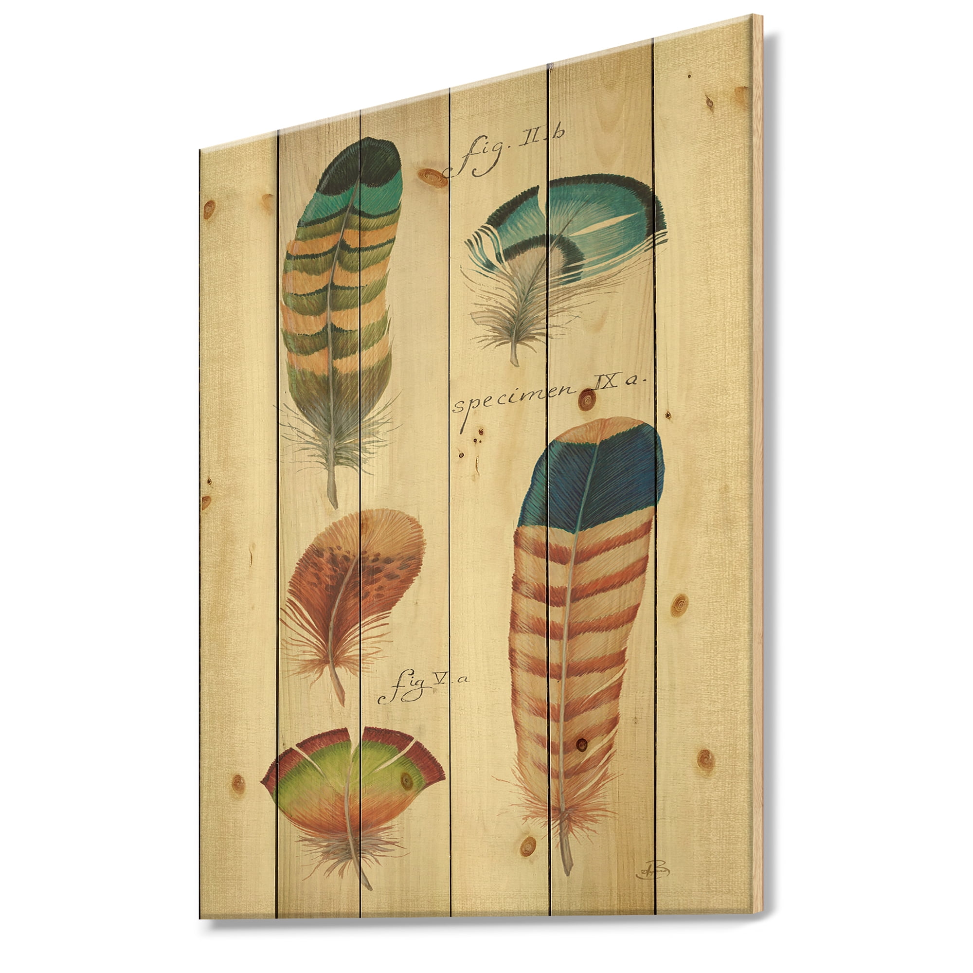 Designart 'Cottage Feathers Family II' Cabin & Lodge Print on Natural Pine Wood