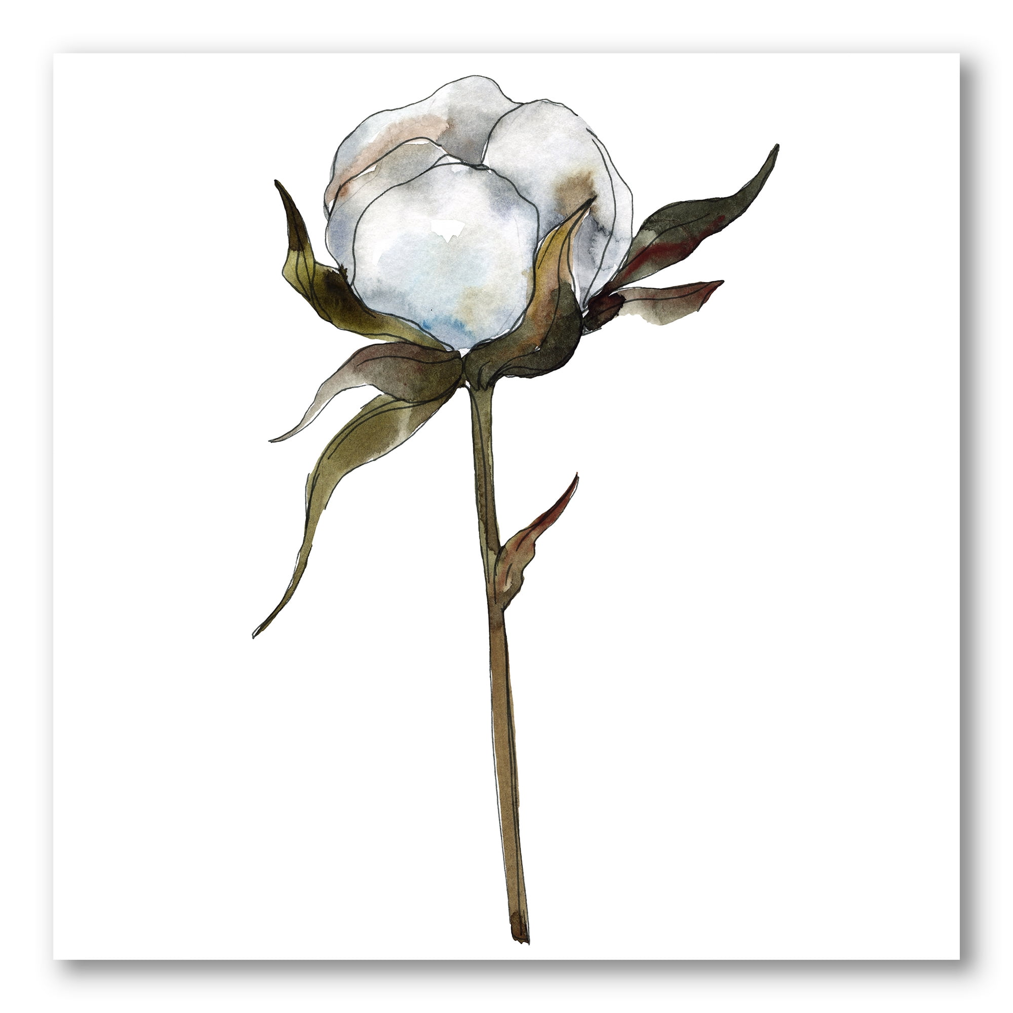 Designart ' Cotton Flower Retro Style ' Traditional Canvas Wall Art Print