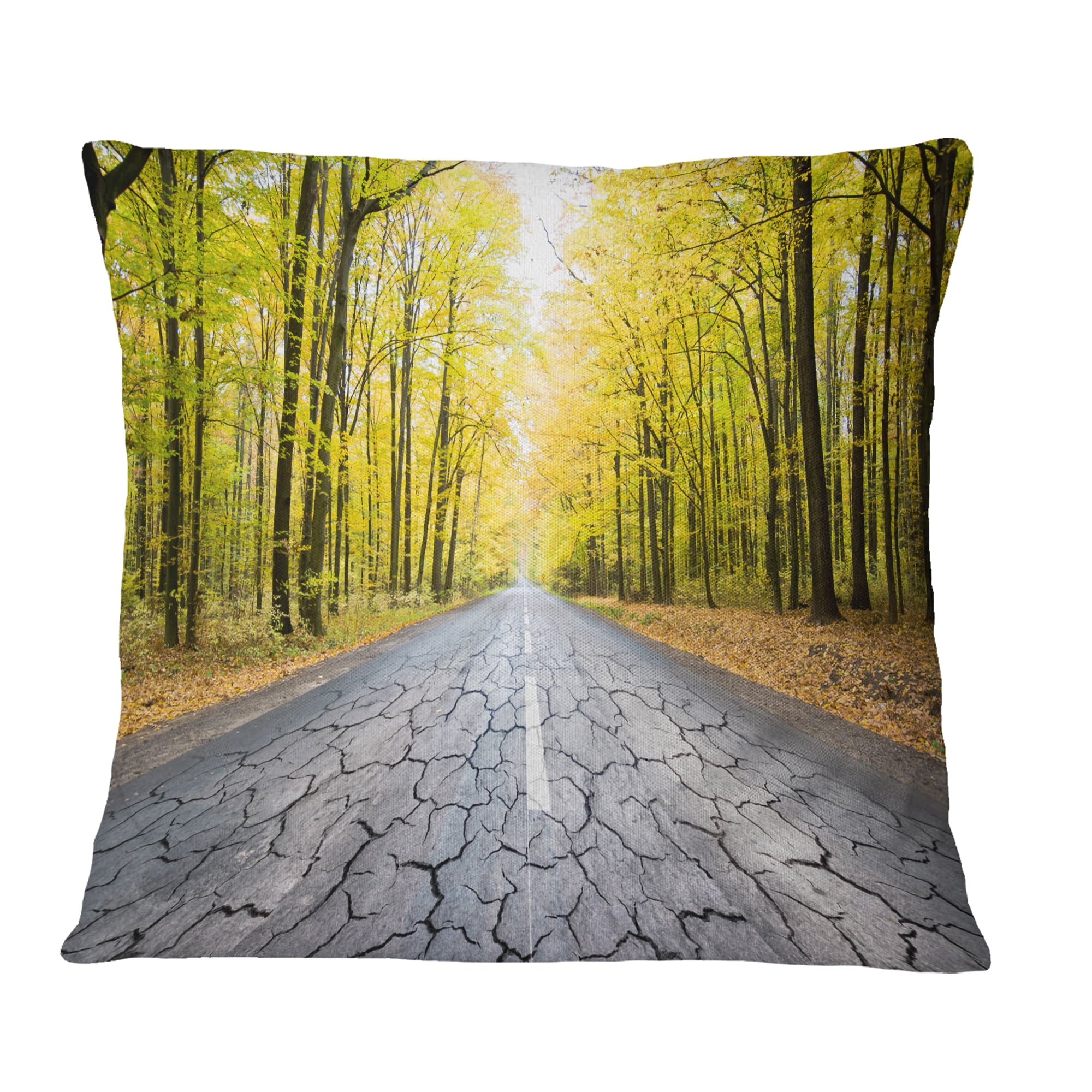 Designart Cracked Road in the Forest - Landscape Printed Throw Pillow - 18x18