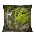 thumbnail image 1 of Designart Creek Moss and Rocks Panorama - Landscape Printed Throw Pillow - 16x16, 1 of 1