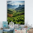 thumbnail image 1 of Designart "Cuba Tobacco landscapes II" Landscape & Nature Floater Framed Canvas Art Print, 1 of 7