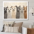 thumbnail image 1 of Designart "Curious Alpacas Collage In Beige And Grey II" Alpacas Picture Framed Wall Art Living Room, 1 of 5