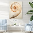thumbnail image 1 of Designart "Curves Of Copper In Nautilus Spiral I" Nautilus Canvas Prints, 1 of 7