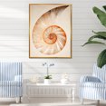 thumbnail image 1 of Designart "Curves Of Copper In Nautilus Spiral I" Nautilus Floater Framed Canvas Prints, 1 of 5