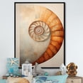 thumbnail image 1 of Designart "Curves Of Copper In Nautilus Spiral" Nautilus Floater Framed Canvas Wall Art, 1 of 5