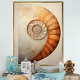 thumbnail image 1 of Designart "Curves Of Copper In Nautilus Spiral" Nautilus Floater Framed Canvas Wall Art, 1 of 5