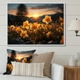 thumbnail image 1 of Designart "Daffodils landscape Sunset I" Floral Floater Framed Canvas Print, 1 of 7