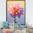 thumbnail image 1 of Designart "Dancing In Coral And Blue Dahlias I" Dahlia Floater Framed Canvas Art Print, 1 of 5