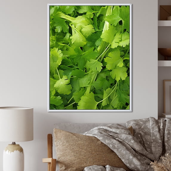 Designart "Dancing Parsley Herbs II" Floral Framed Wall Art - Traditional Green Herbs Entryway Framed Wall Art Print