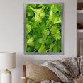 Designart "Dancing Parsley Herbs II" Floral Framed Wall Art