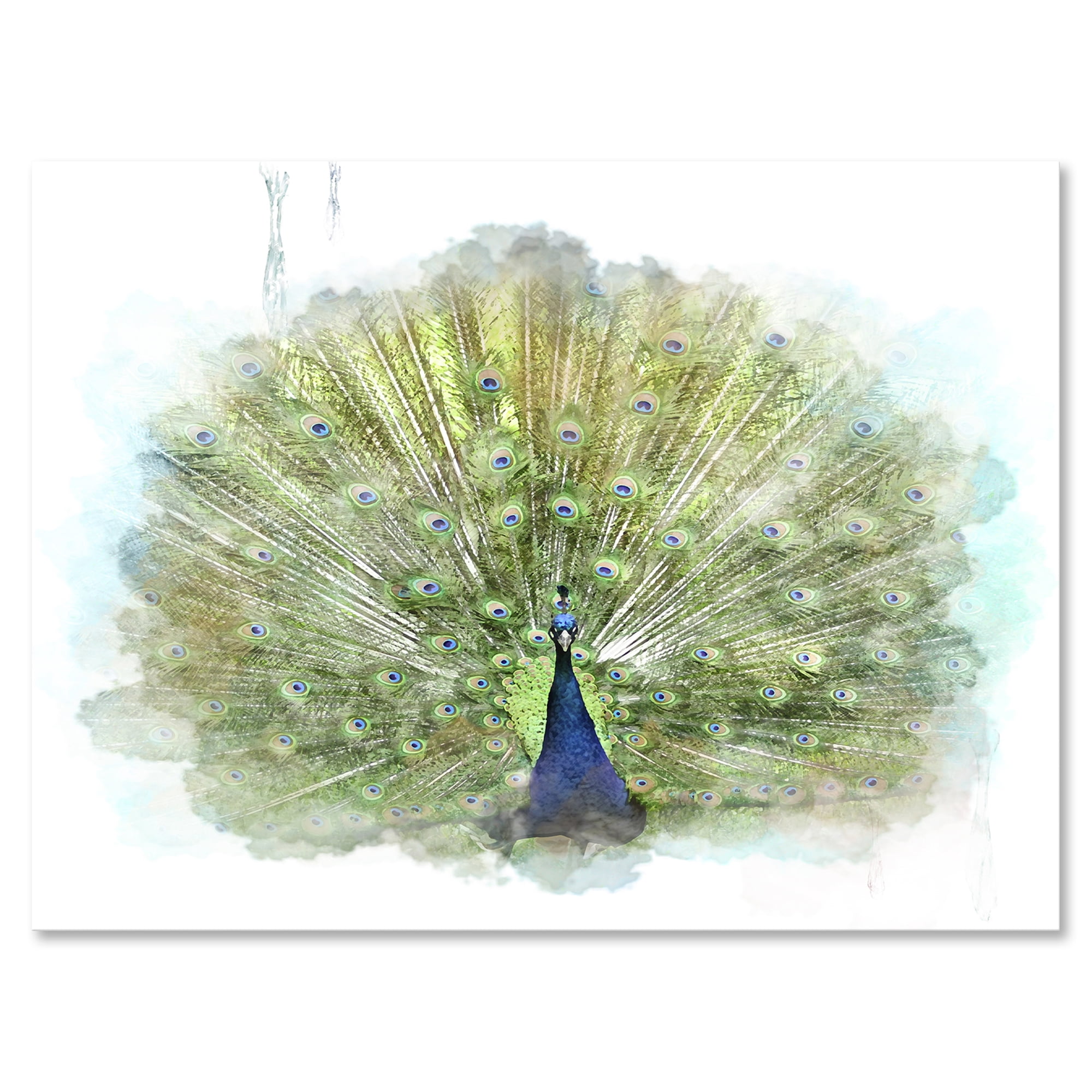 Designart ' Dancing Peacock Bird ' Traditional Canvas Wall Art Print