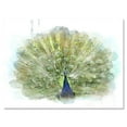 thumbnail image 1 of Designart ' Dancing Peacock Bird ' Traditional Canvas Wall Art Print, 1 of 4