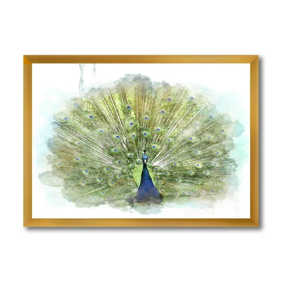 Designart 'Dancing Peacock Bird' Traditional Framed Art Print