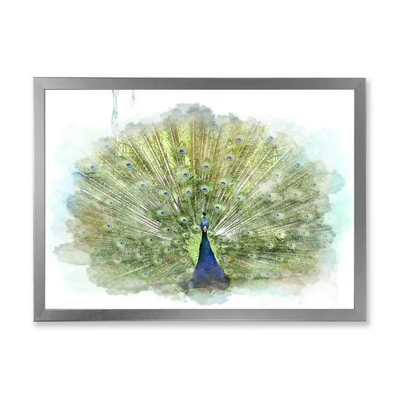 Designart 'Dancing Peacock Bird' Traditional Framed Art Print