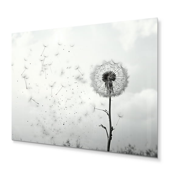 Designart " Dandelion Natures simplicity I" Floral Metal Art Print