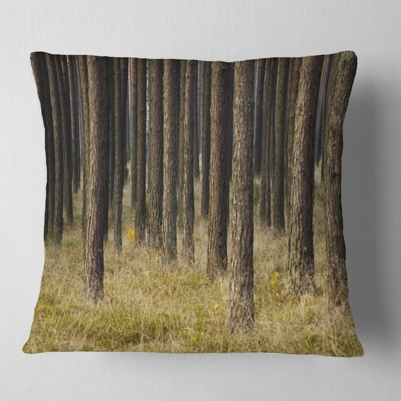 Designart Dark Fall Forest with Green Grass - Modern Forest Throw Pillow - 18x18