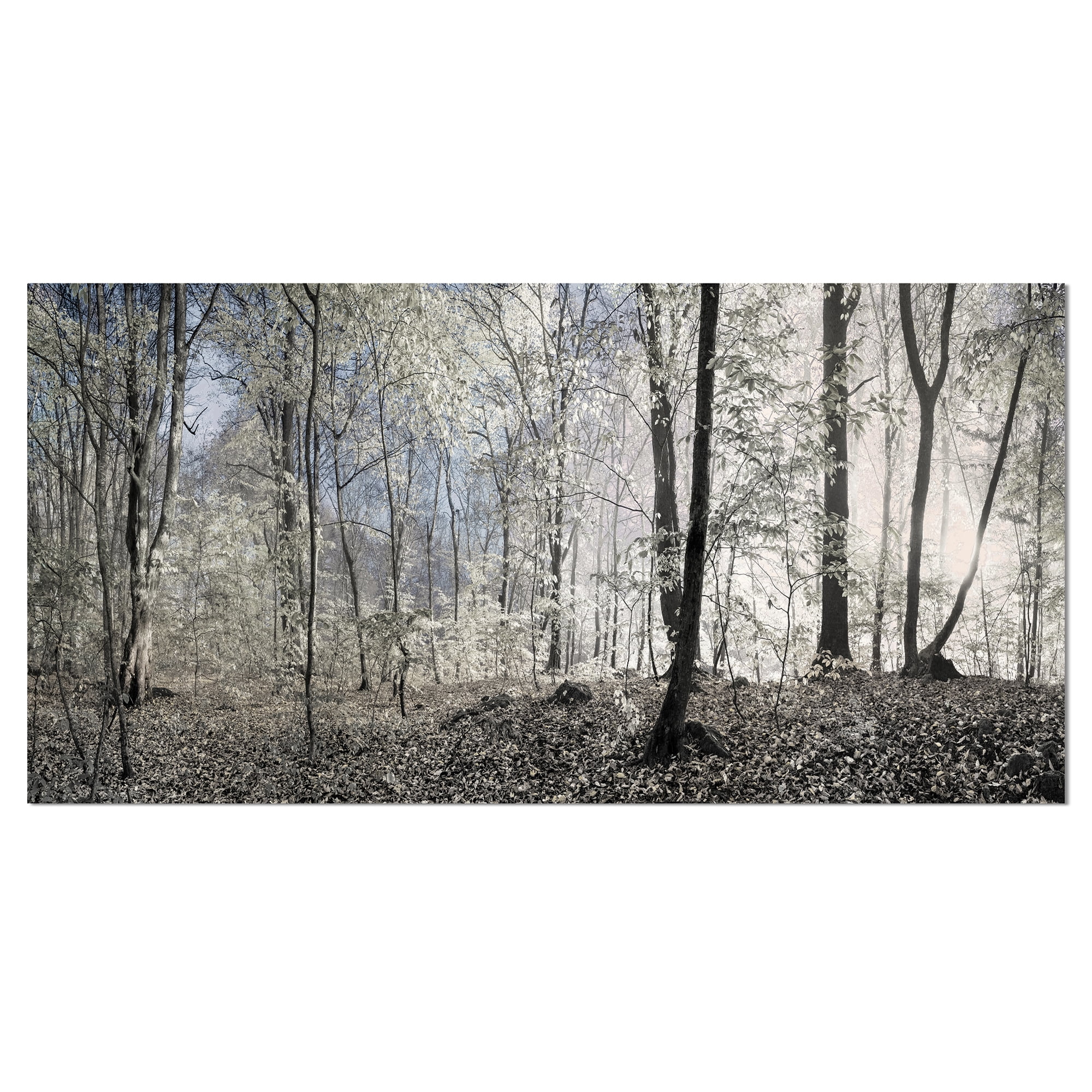 Dark Morning Forest Panorama Landscape Canvas Art Print