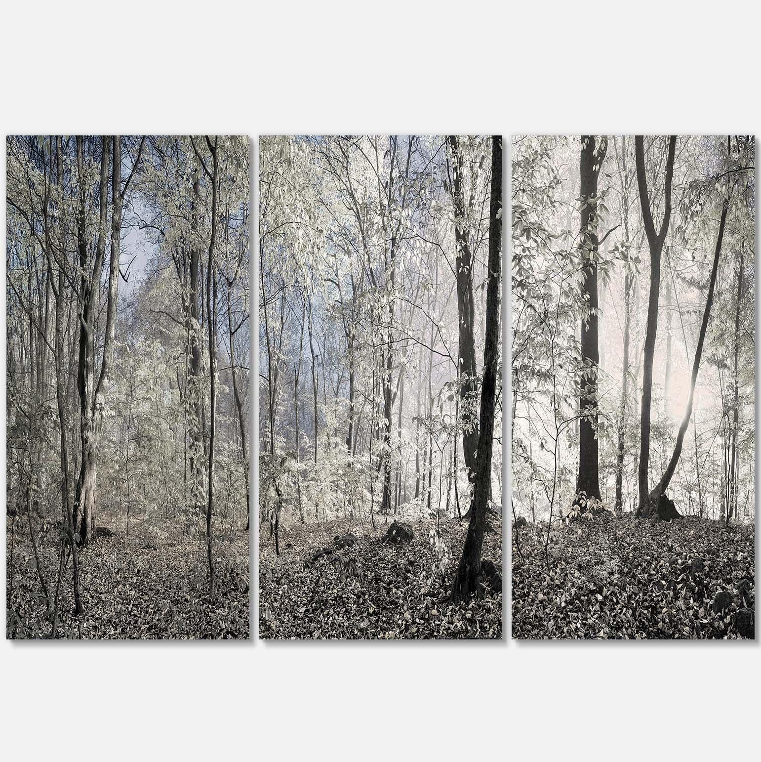 Dark Morning Forest Panorama Landscape Canvas Art Print