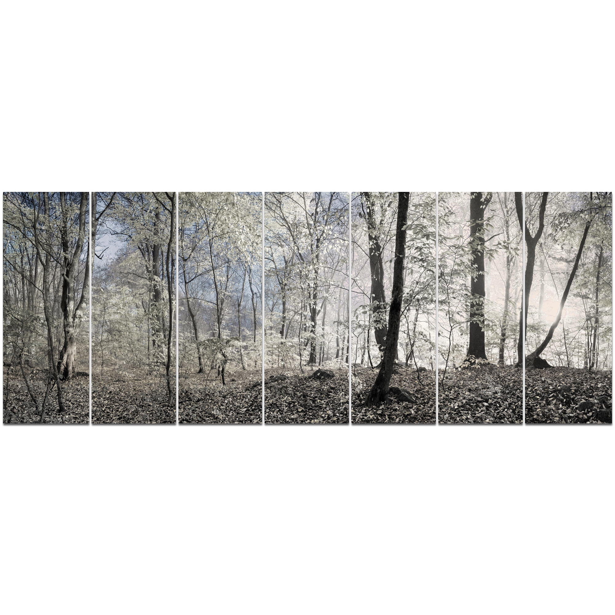 Designart 'Dark Morning in Forest Panorama ' Landscape Canvas Art Print