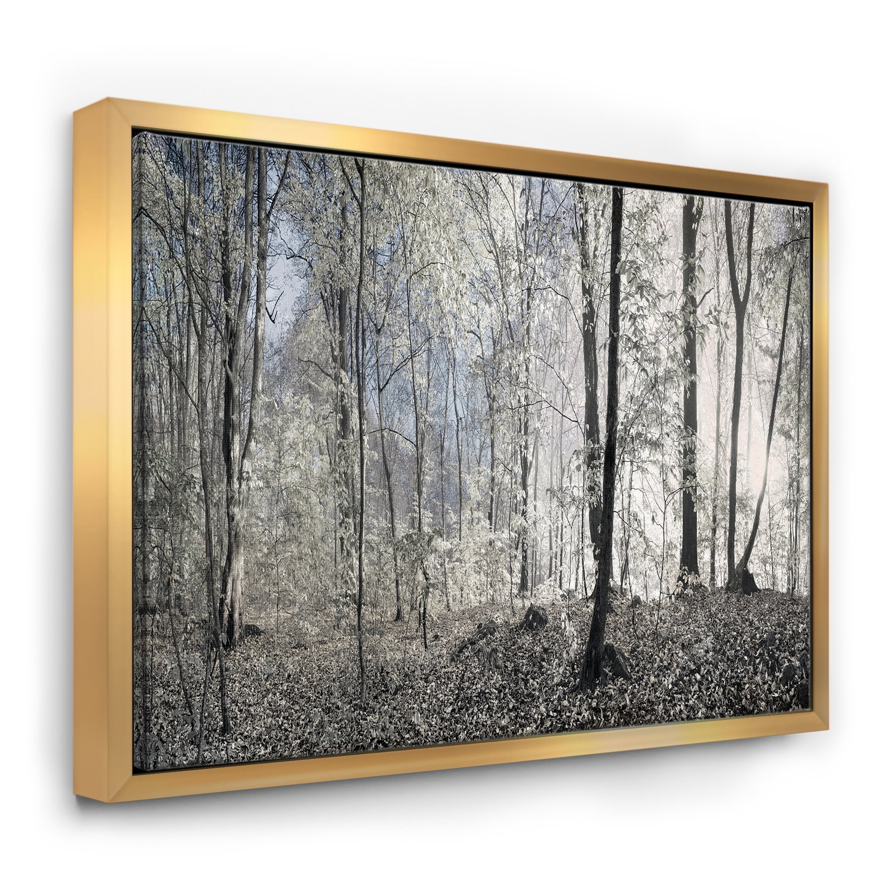 Designart ' Dark Morning in Forest Panorama ' Landscape Framed Canvas Art Print