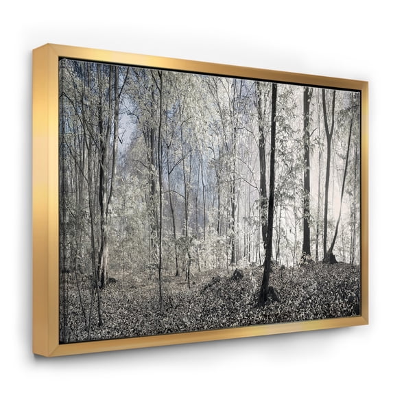 Designart ' Dark Morning in Forest Panorama ' Landscape Framed Canvas Art Print