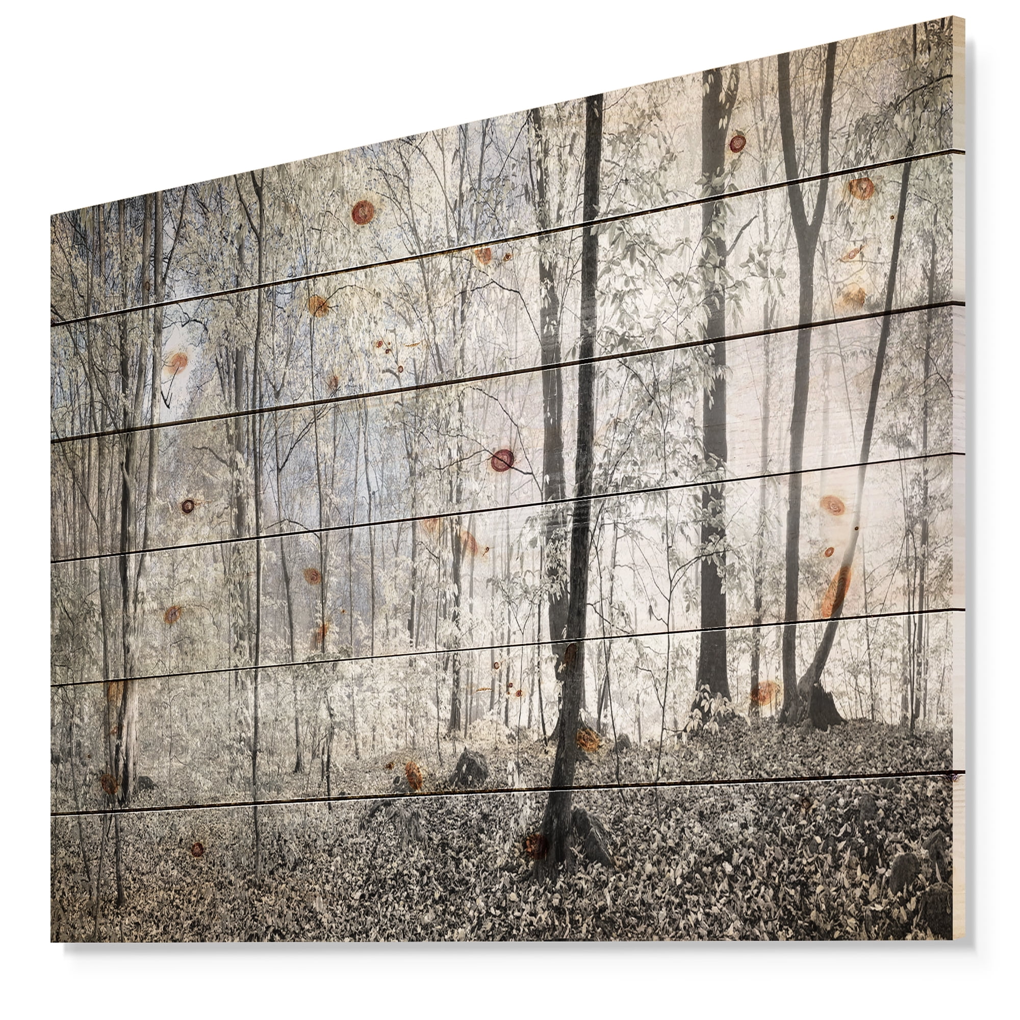 Designart 'Dark Morning in Forest Panorama' Landscape Print on Natural Pine Wood