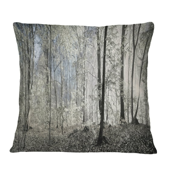 Designart Dark Morning in Forest Panorama - Landscape Printed Throw Pillow - 16x16