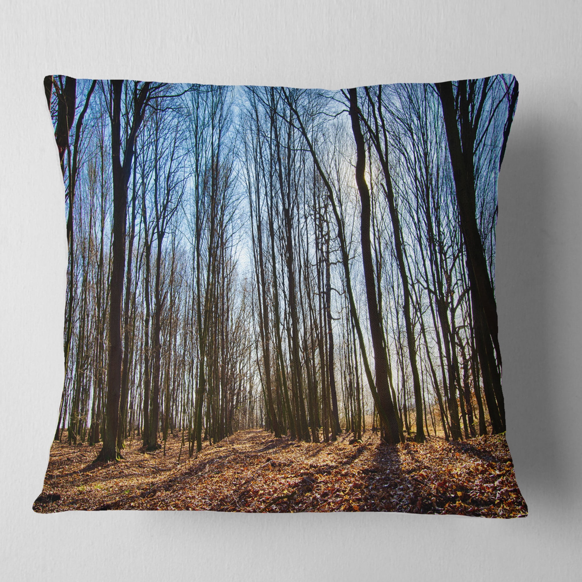 Designart Dark Trees in Forest at Sunrise - Forest Throw Pillow - 16x16