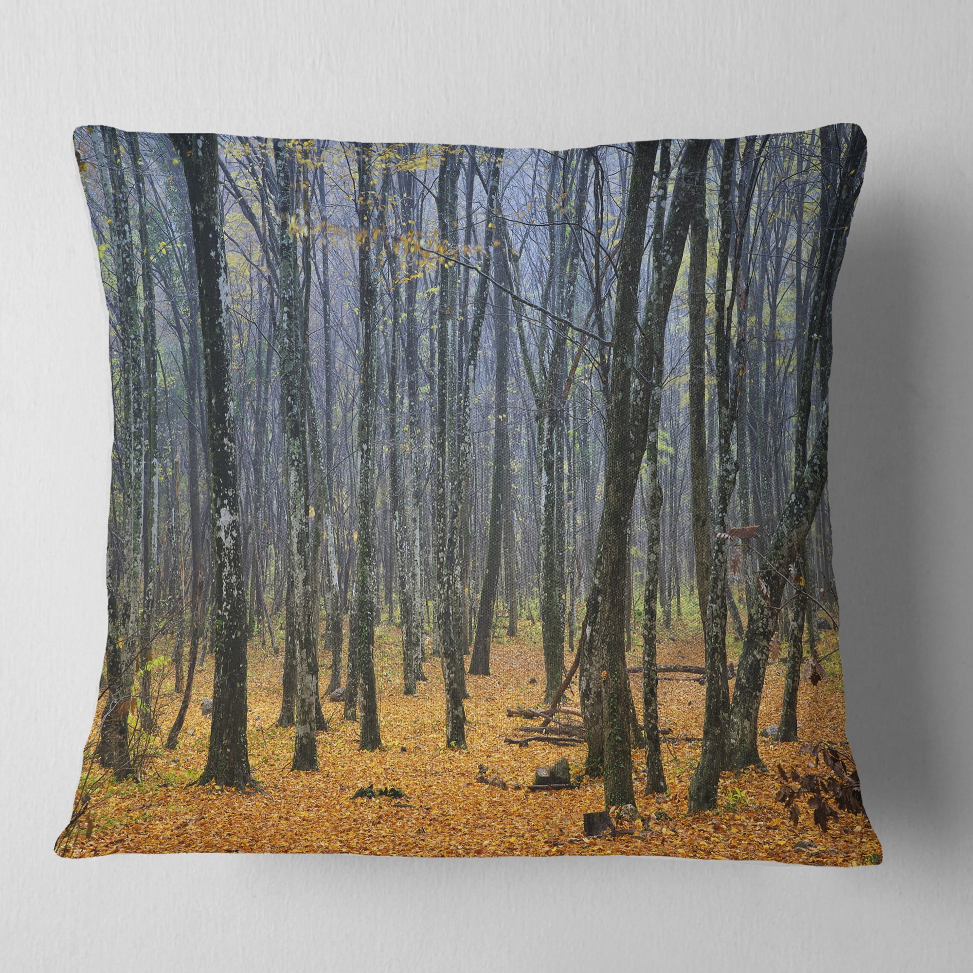 Designart Dark Woods in Autumn Forest - Modern Forest Throw Pillow - 16x16