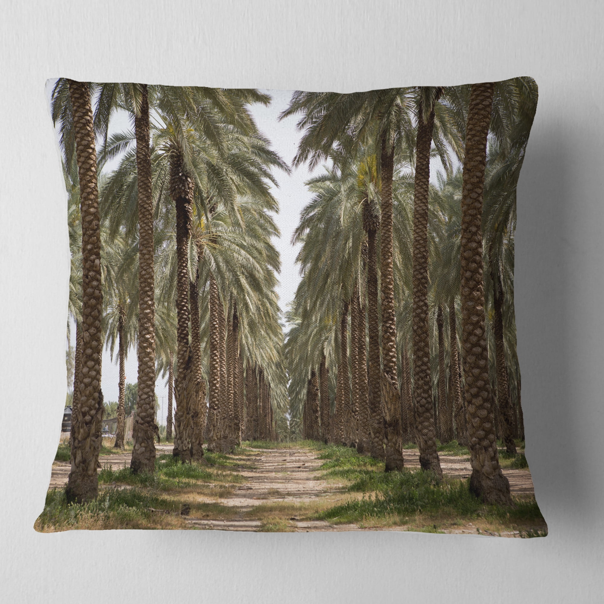 Designart Date Palm Plantation Photography - Modern Forest Throw Pillow - 18x18