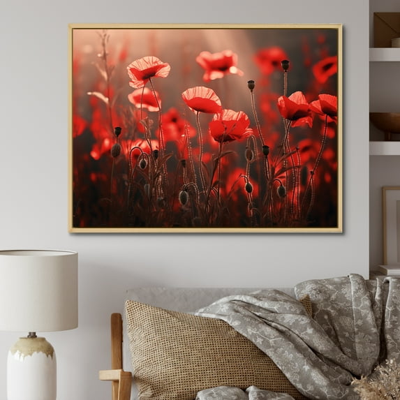 Designart "Dawn'S Embrace Of Red Poppies" Poppies Floater Framed Wall Art Living Room