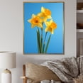 thumbnail image 1 of Designart "Daylight'S Yellow And Green Daffodils I" Daffodils Floater Framed Wall Art Prints, 1 of 5