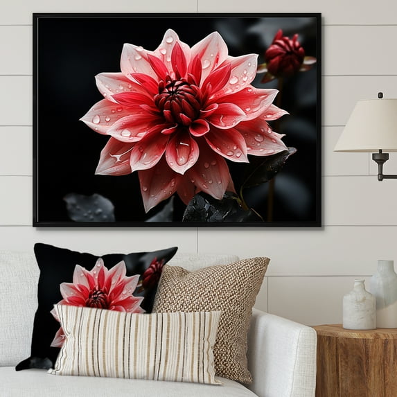 Designart "Dazzling Pink Dahlia" Floral Floater Framed Canvas Art Print