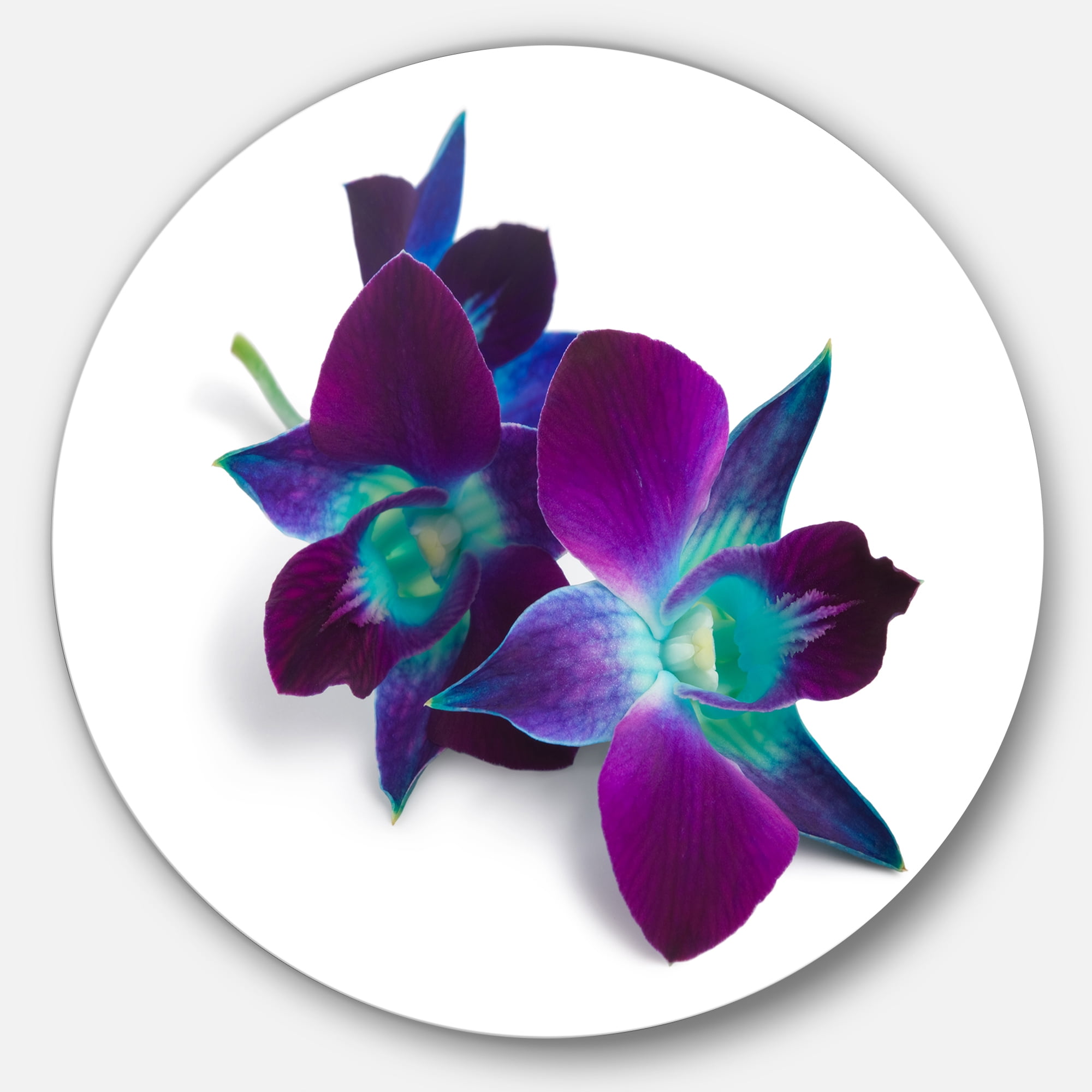 Deep Purple Orchid Flowers on White Metal Round Wall Art