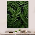 thumbnail image 1 of Designart "Delicate Intricacy Ferns Plant wall art" Floral & Botanical Canvas Print, 1 of 5
