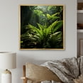 thumbnail image 1 of Designart "Delightful Jungle Ferns" Plants Floater Framed Canvas Prints, 1 of 5